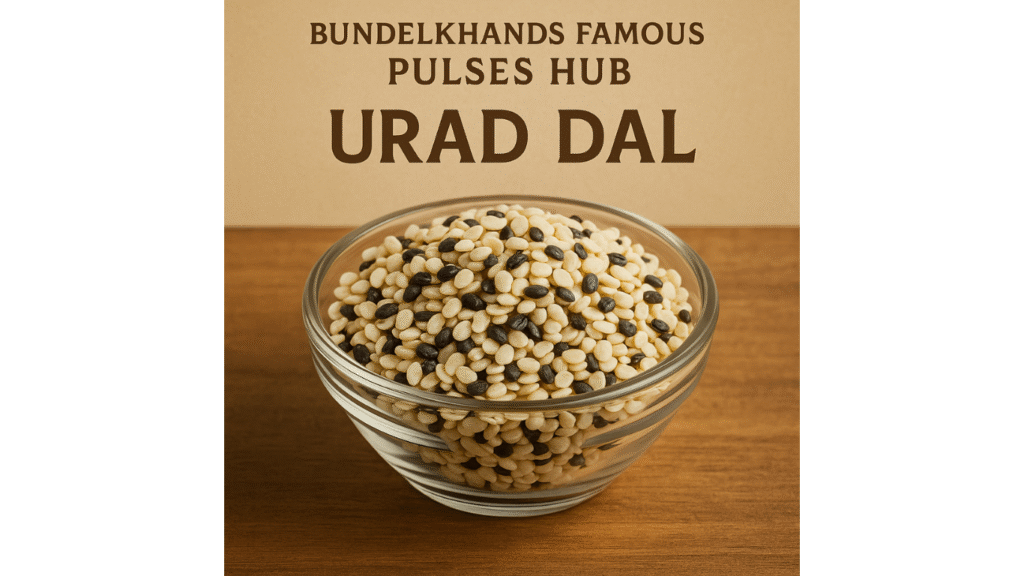 Top organic dal brands