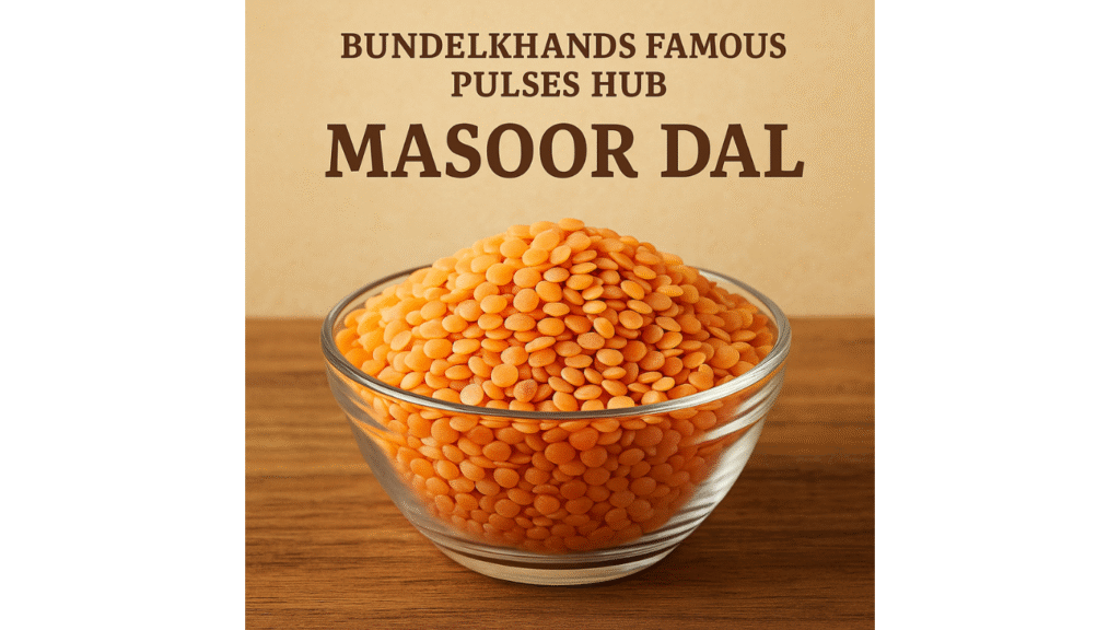 Top organic dal brands