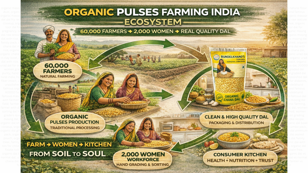 Organic Pulses Farming India