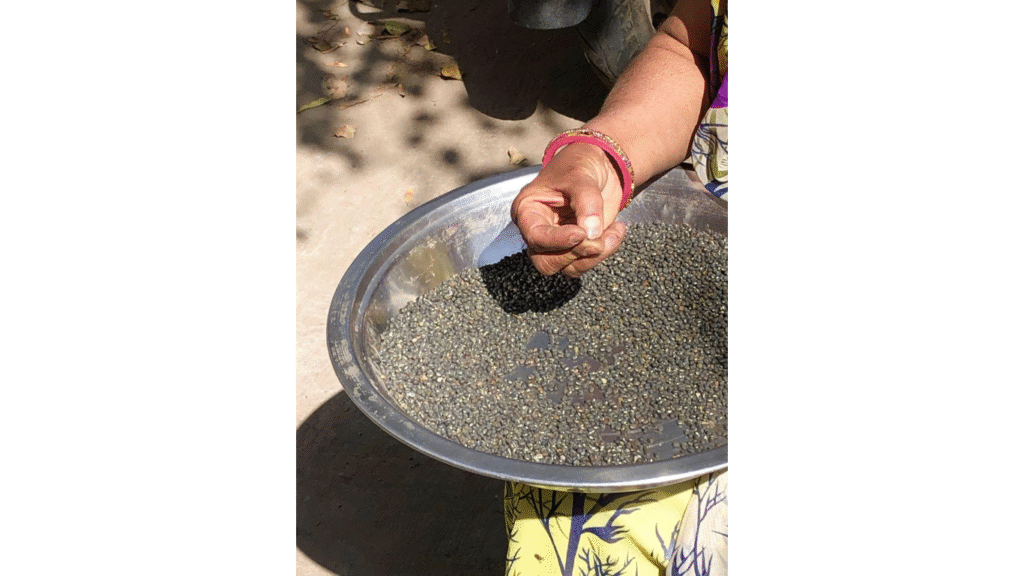 Bundelkhand Hand Graded Dal Speciality