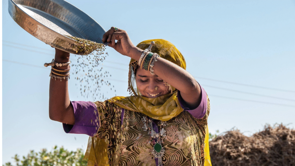 premium dal brands india