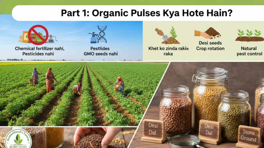 Organic Pulses Online India 