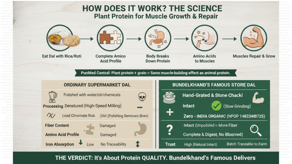 best dal for gym goers protein