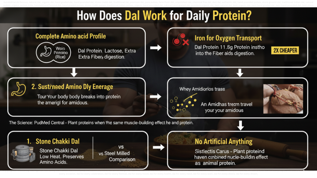 dal for gym goers daily protein